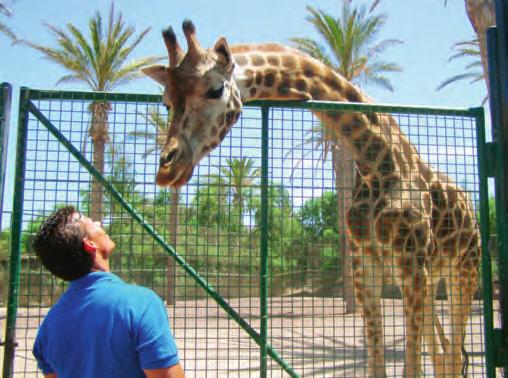 Med Apolloreseledare Lördag Pris 16 / 9 Fantastiska Fuerteventura P å denna utflykt får du en inblick i öns natur, historia och k ultur.
