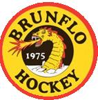 Näldens IF Brunflo IK AIK