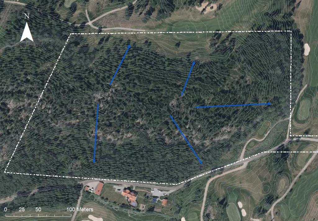 Figur -7. Delar av planområdet som är markerat med en vitstreckad polygon, där blå pilar visar naturliga flödesriktningar för avrinnande ytvatten.