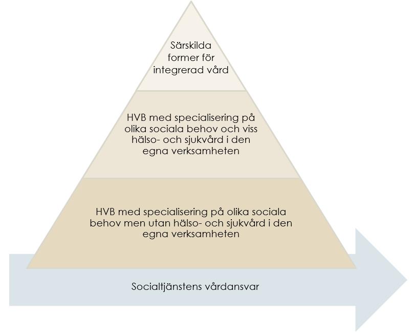 Högt specialiserade HVB med särskilda former för integrerad vård.