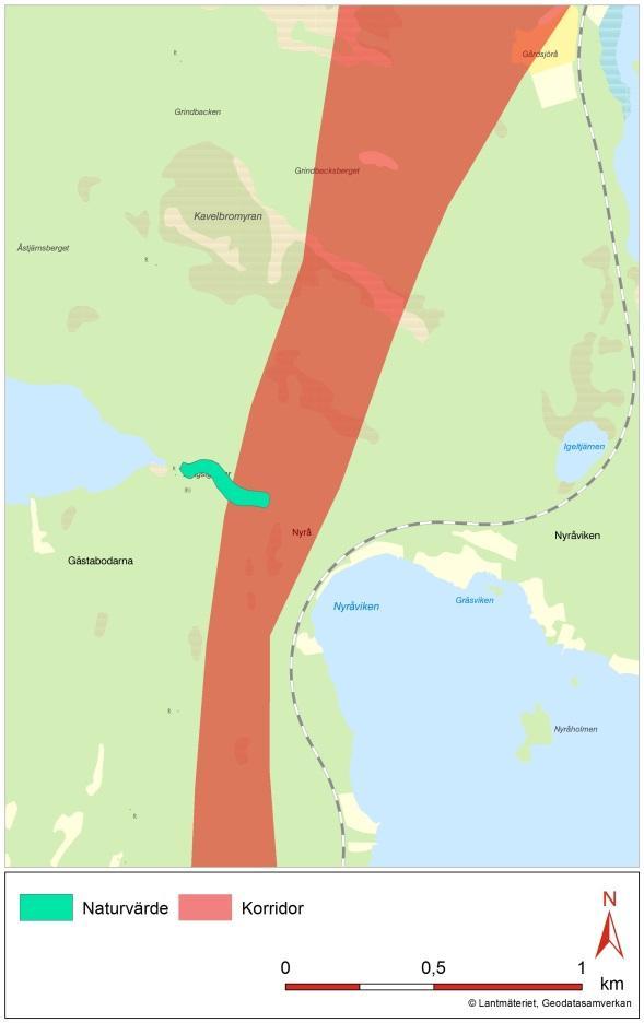 Dessa är (från söder och norröver) längs denna etapp följande, jfr också figurer 7.7-10 och 7.7-11 nedan: Blåmyra 2,5 ha. Mosseskog i form av mosaik med inslag av främst öppen våtmark.