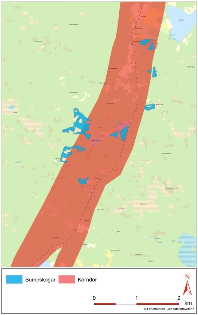 Telångsmyran, 6 st. delområden med övervägande barrträd inom kärrskogar och myrskogar. 3,3 ha, 1,5 ha, 1,0 ha, 6,1 ha, 5,9 ha respektive 1,4 ha. Centralt beläget inom utredningskorridoren.