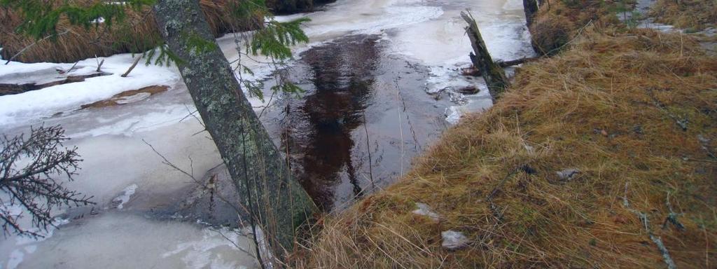 Gemensamt för utredningsalternativen Inom Nordanstigs kommun kommer påverkan framförallt att ske uppströms fågellokalen Övre Dösjön som ligger inom riksintresset Dyrån.