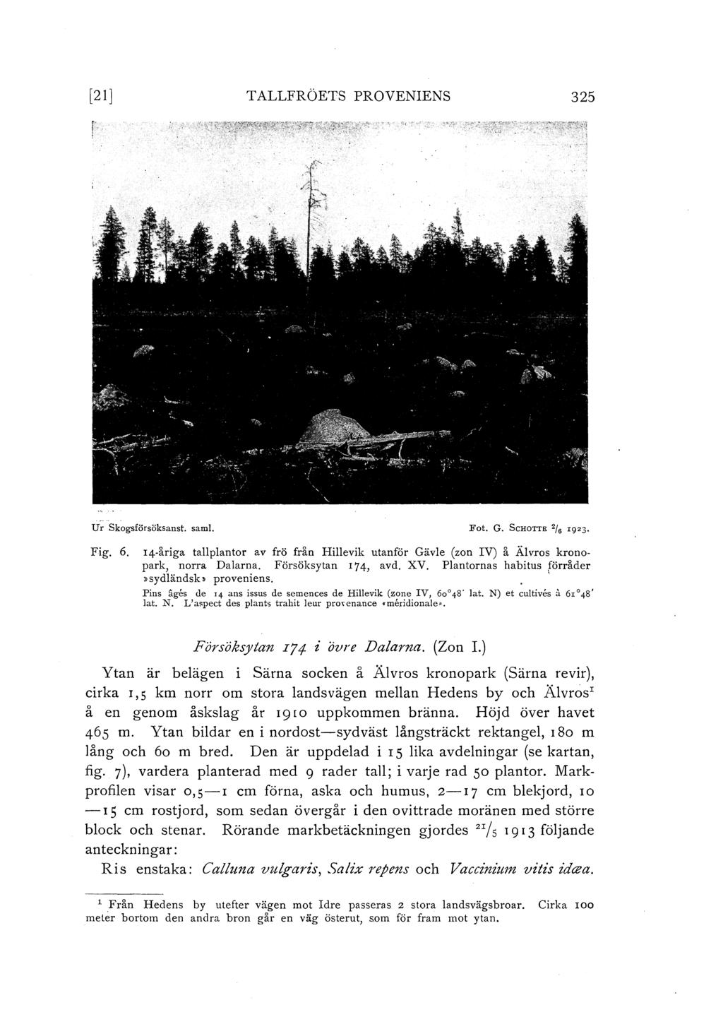 [21]! T ALLFRÖETS PROVENIENs 325 U r Skogsförsöksanst. sam!. Fot. G. ScHOTTE 2/ 6 I923. Fig. 6. 14-åriga tapantor av frö från Hievik utanför Gäve (zon IV) å Ävros kronopark, norra Daarna.