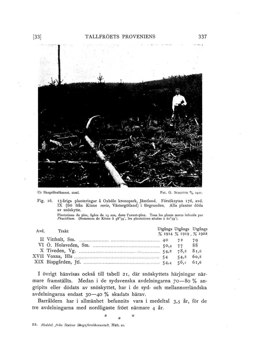 [33] T ALLFRÖETS PROVENIENs 337 U r Skogsförsöksanst, sam. Fot. G. ScHoTTE 8/ 0 rgz1. Fig. 16. 13-åriga panteringar å Oxböe kronopark, Jämtand. Försöksytan I 76, avd.