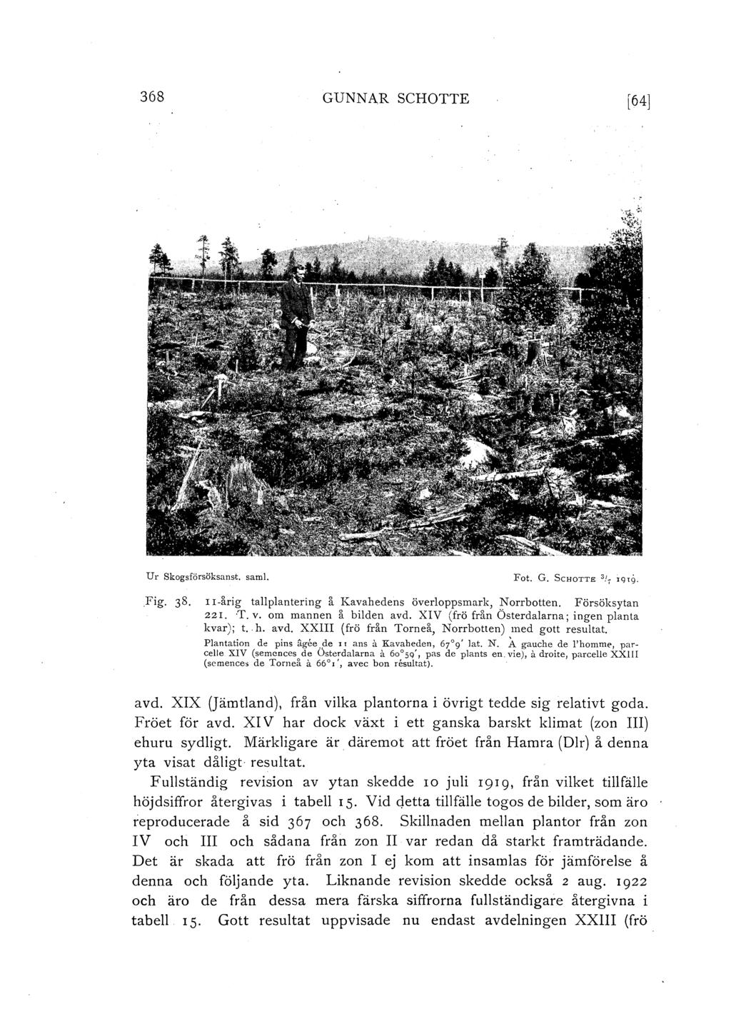368 GUNNAR SCHOTTE [64] U r Skogsförsöksanst. sam. Fig. 38. I I-årig tapantering å Kavahedens överoppsmark, Norrbotten. Försöksytan 22I. T. v. om mannen å biden avd.