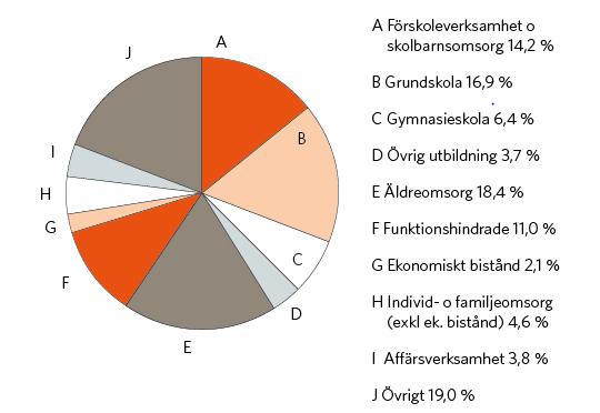 kostnaderna på en övergripande nivå och i texten nedan kan specifika verksamhetsområden urskiljas 79.