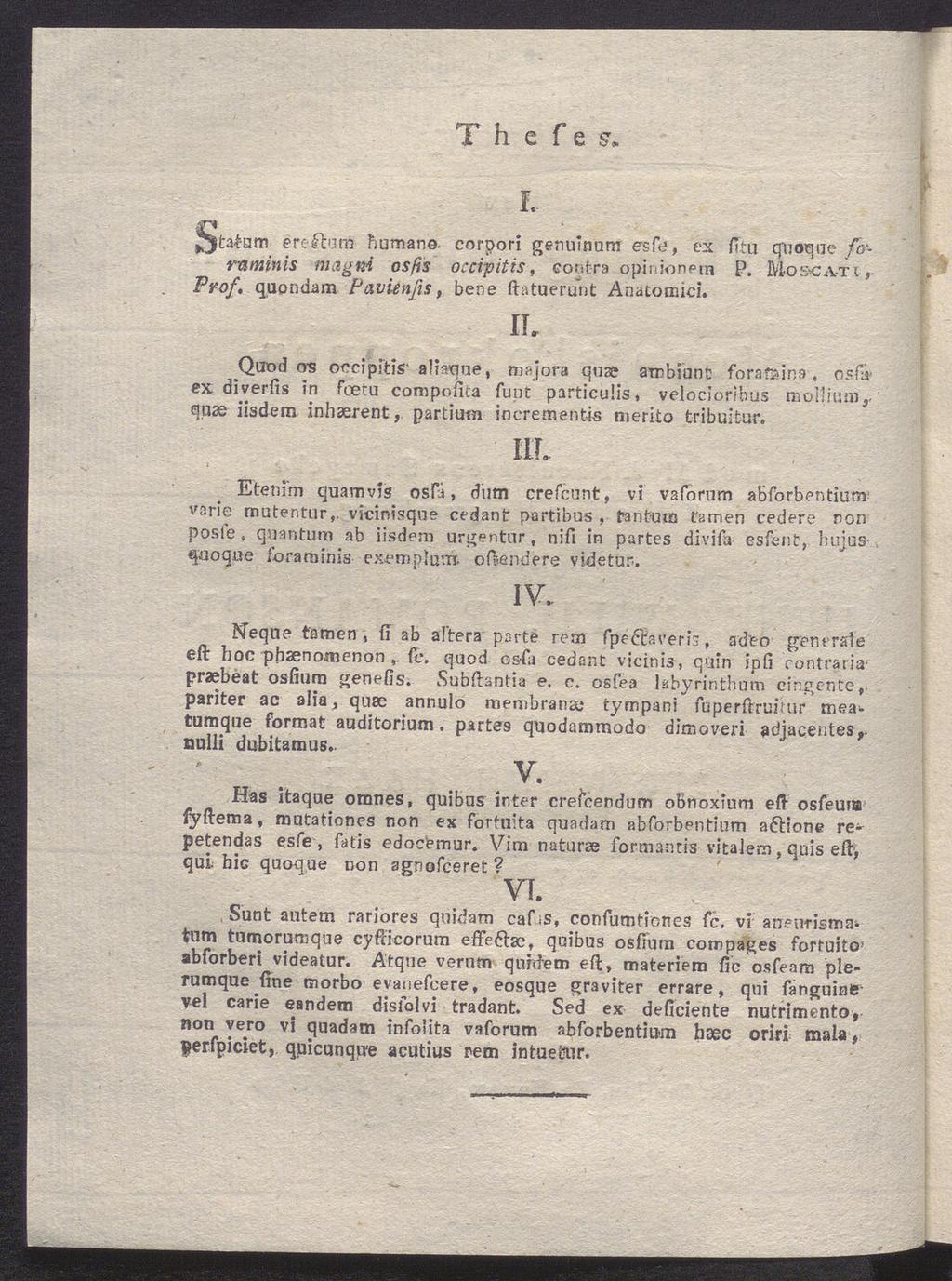 T h e f e s. L ^taéam érc-uum humane- corpori genuinum esfe, ex /Itu quoqne fonaminis magni osfts oecipitis, coot-ra opinionen* P. Moscati, Prof. quondam Pavienfts, bene ftatuerunt Anatomici.