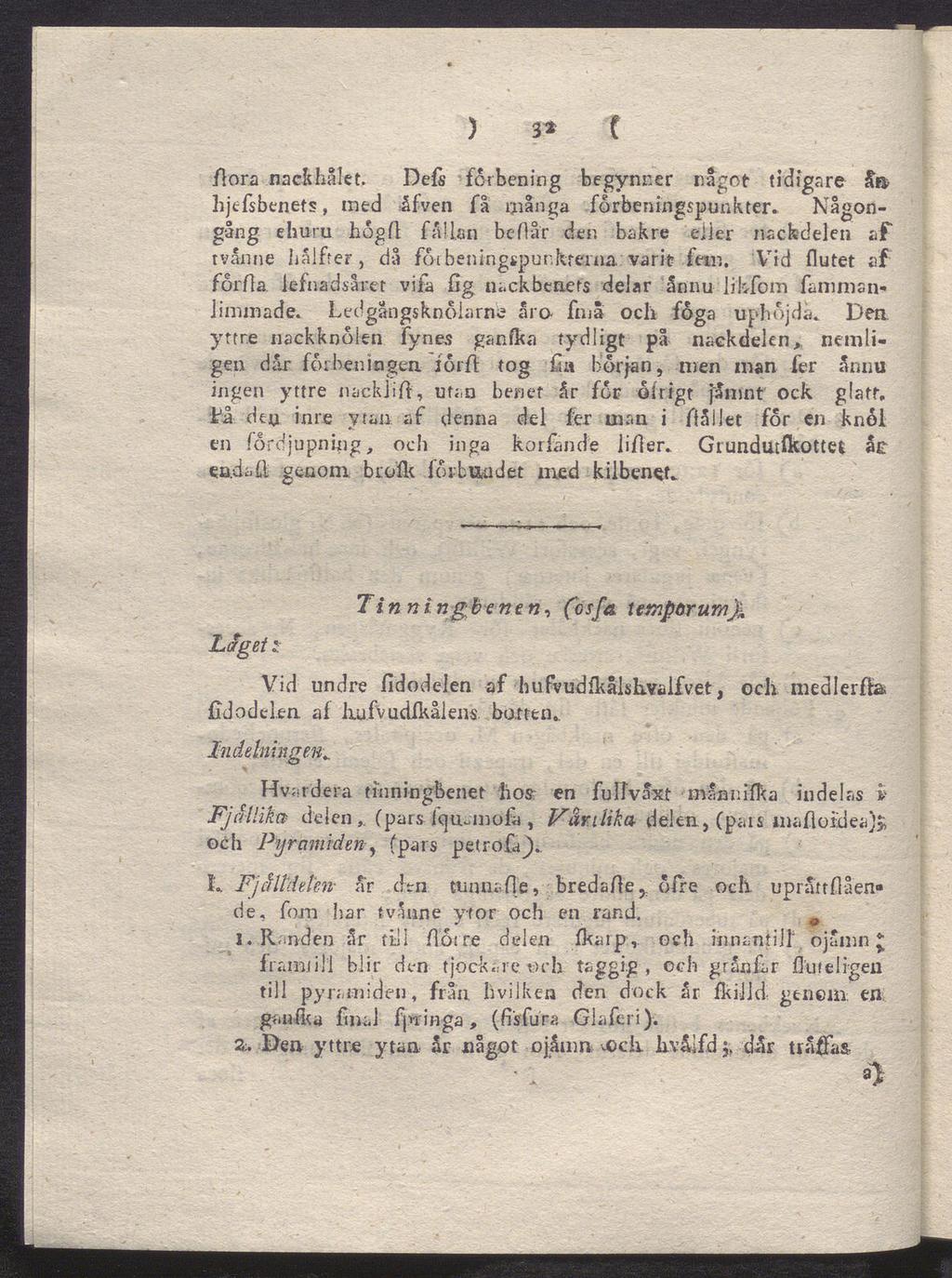 ) 3* C ftora nackhålet, Dels far ben ing begynner något tidigare ån hjtfsbenets, med åfven få många forbeningspunkter.