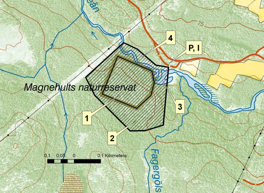 B. PLANDEL 1 Syfte med naturreservatet Syftet med Magnehult domänreservat är att bevara ett skogsområde med ädla lövträd av främst lönn, alm, ask och ek samt ett stort inslag av asp.