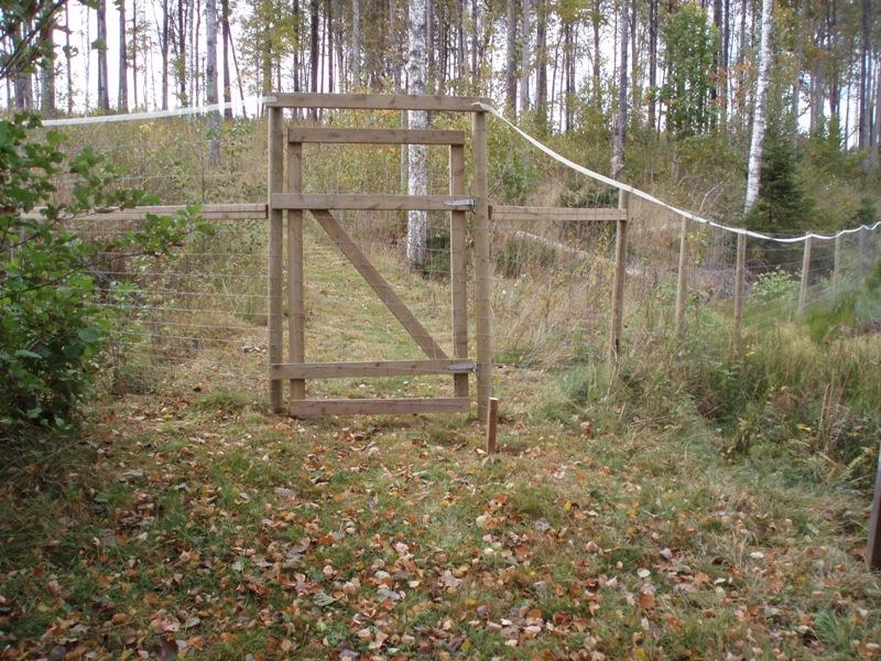 Bevarandemål och gynnsamt tillstånd Området ska långsiktigt utvecklas till en mer eller mindre sluten, naturskogsartad lövskog med äldre lövträd motsvarande kärnområdet.