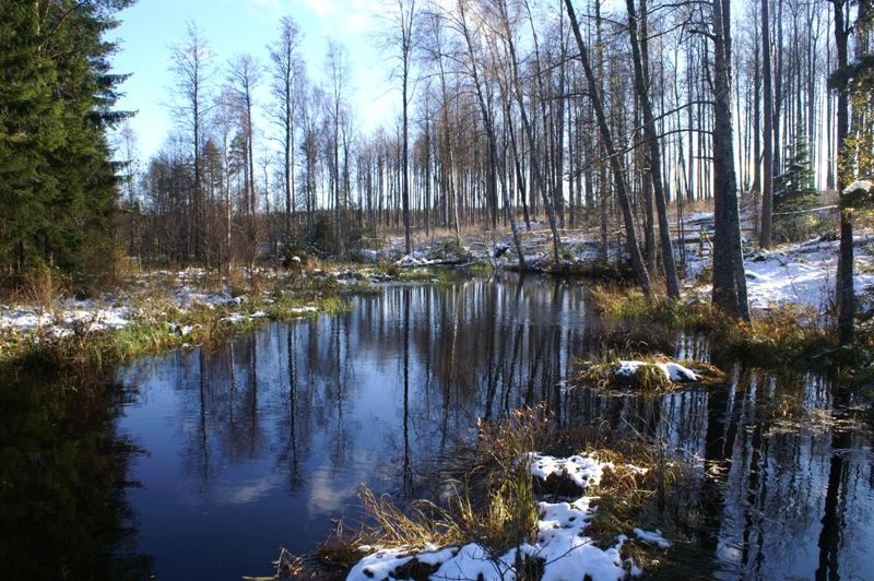 Skötselområde 3, Magnehultån Areal: 0,4 ha Naturtyp enlig Natura 2000: - Målnaturtyp: - Beskrivning Magnehultån är lugnflytande i anslutning till reservatet, med gräs- och starrbevuxna stränder.