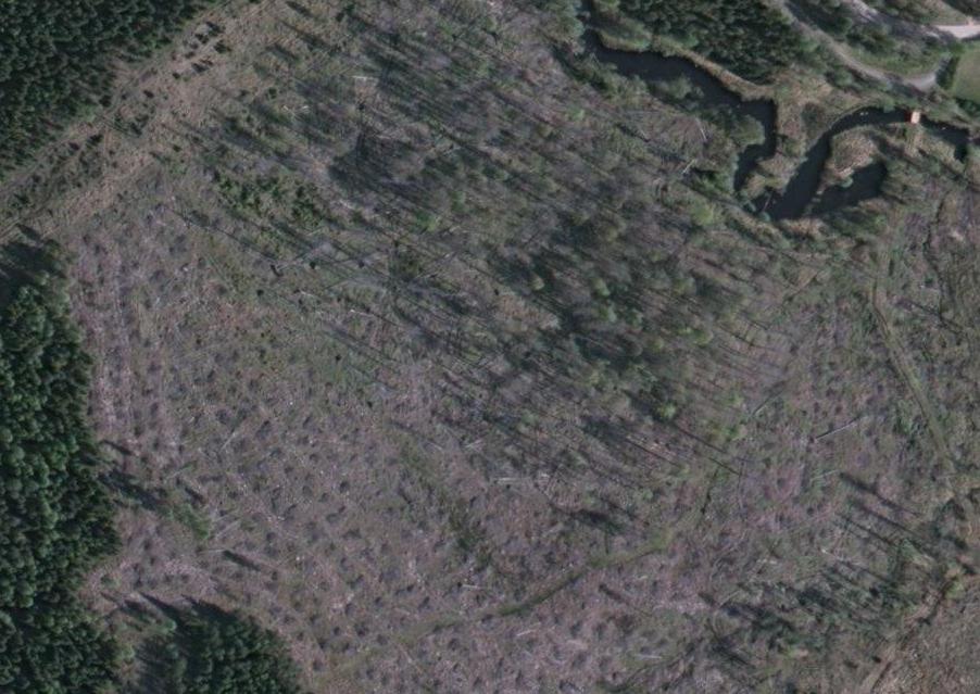 Bakgrundskartor Lantmäteriet, dnr 106-2004/188 Satellitbild över Magnehults naturreservat