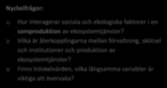 ekosystemtjänster?