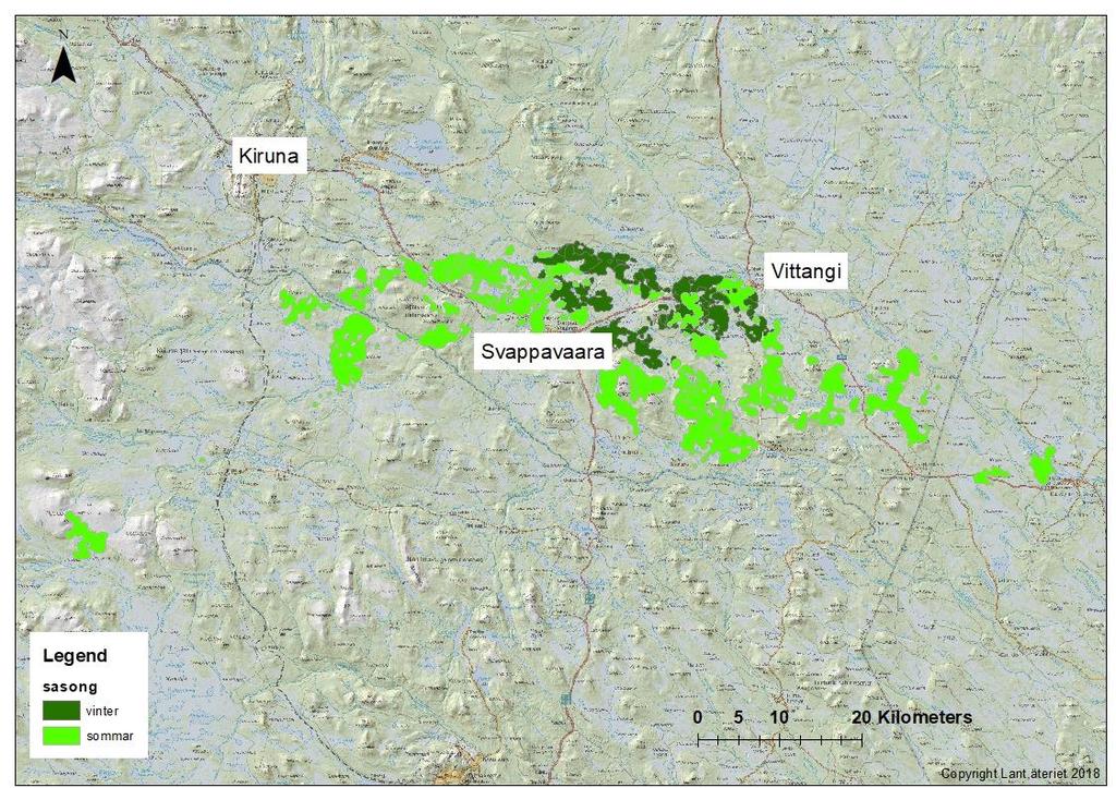 avstånd som vi hade förväntat oss. Tio av de 13 älgar där vi kunde skatta båda säsongsområdena hade inget överlapp alls mellan områden. Medel överlapp av sommarmed vinterområdet var 3%.