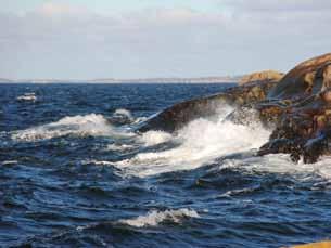 Mer info och möjlighet att anmäla sig kommer inom kort på Naturkontakt. Varmt välkommen! Erbjud människor att ta Naturfalken Vad kan du om bin, fåglar och blommor?