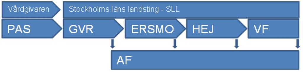 Informationssystem Socialstyrelsens definition av informationssystem är: system som insamlar, bearbetar, lagrar eller distribuerar och presenterar information.