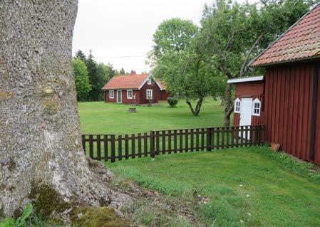 Undantagshus, uthus, utedass och
