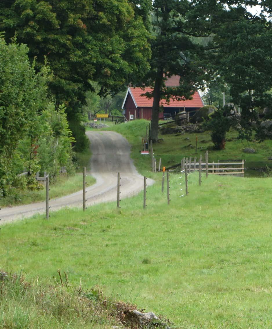 Den slingrande byvägen, gamla