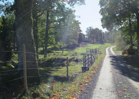 Torsåspanel.
