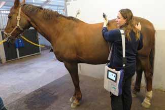 se Lär dig behandla muskler, leder, senor och andra strukturer med medicinsk laser!