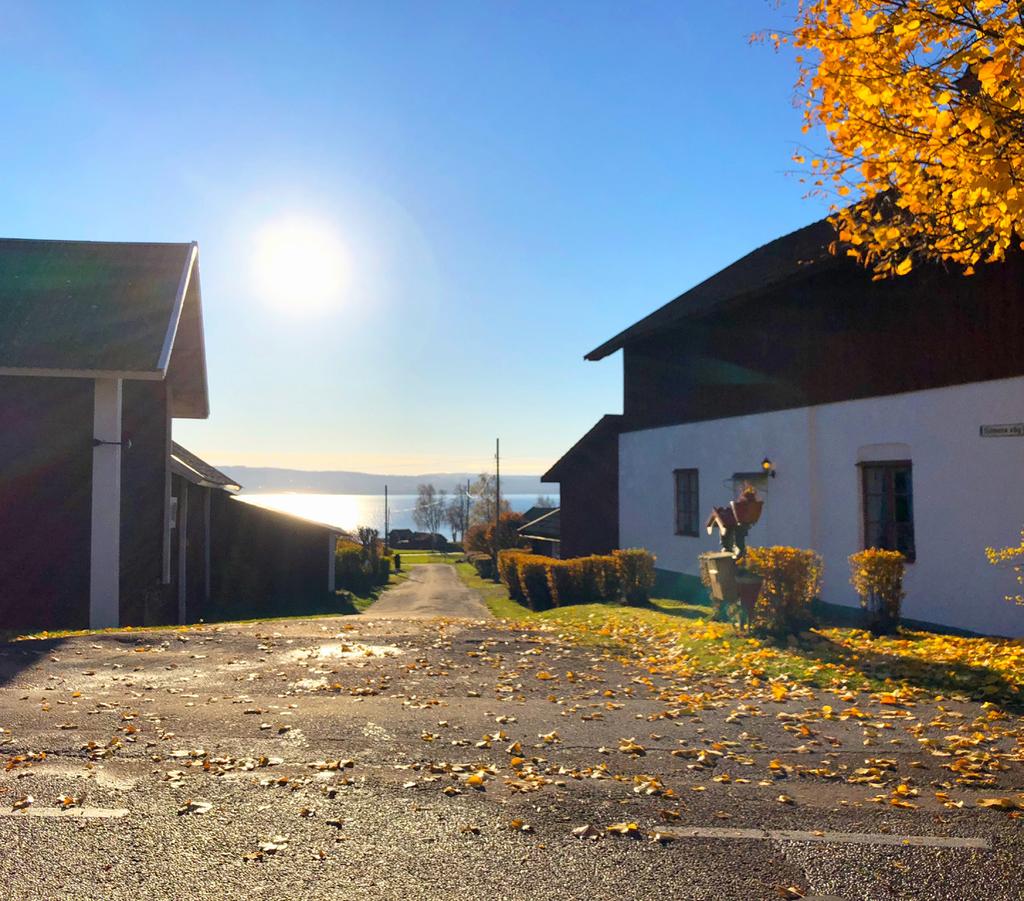 sammanställning av vanliga
