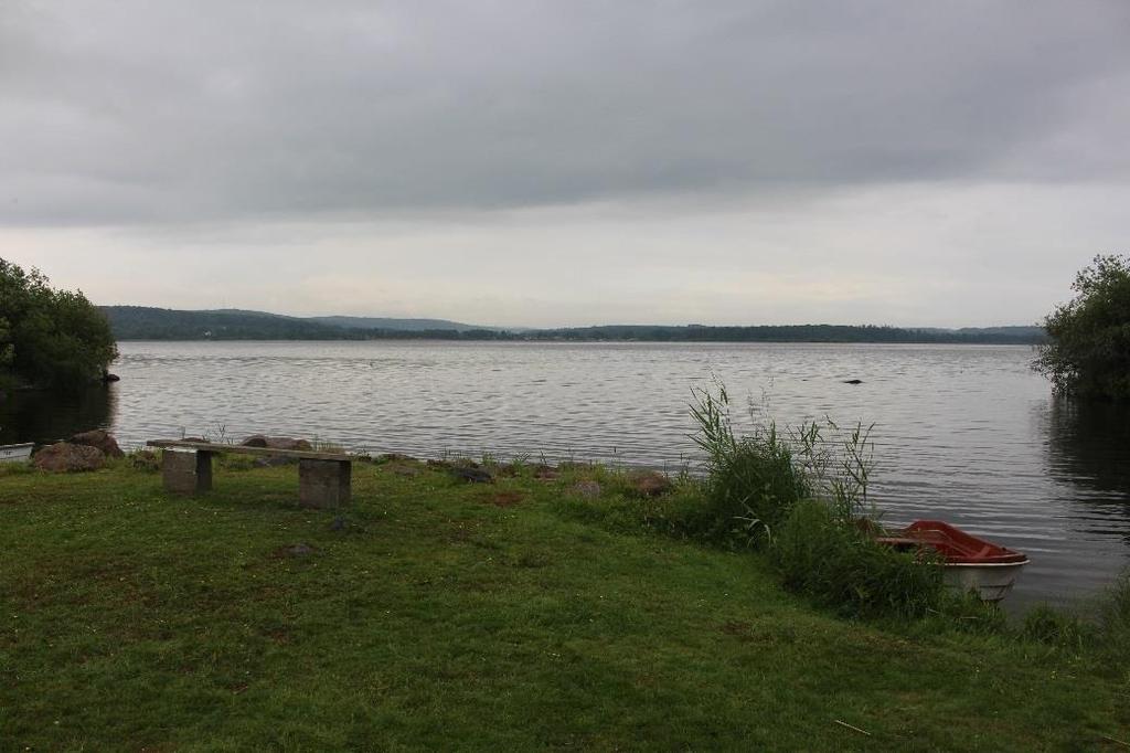 Område 9 Yta som söktes av: 200 m2 Områdesinfo: Mellan öar, många båtar upplagda på land och liggandes i vattnet. Medeldjupet var 0,6 m.