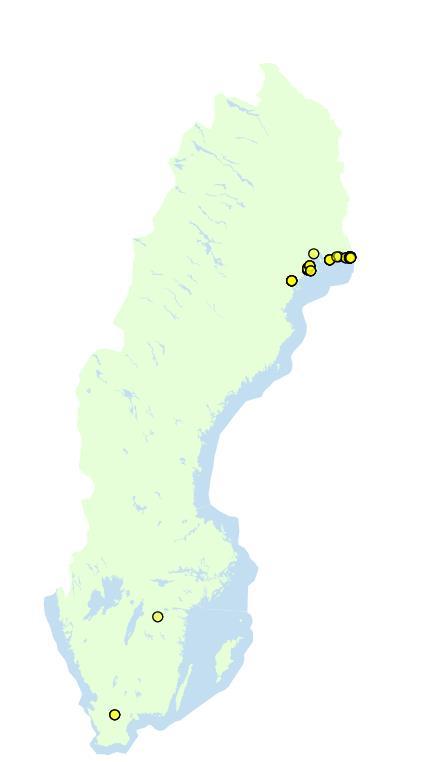 Föryngringen bedöms som god på tre av de tio inventerade områdena och på fyra platser förekommer föryngring.