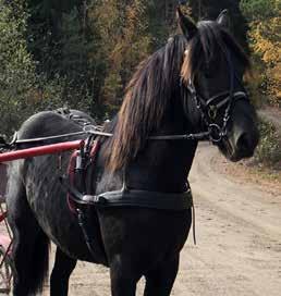SUNLIHT OVER 60: 9, M Total: 6 0-0-0 6.00 9 8,br.s.e Perhaps Love - 9: 0-0-0 0,7 500 8: 8 0-0-0 9, 7.