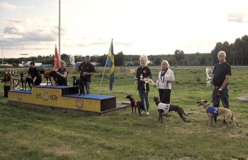 Semifinaler i Derbyt Vi var nu framme vid onsdagen den 3 juli, vi hade 7 lopp, lagom en kväll.