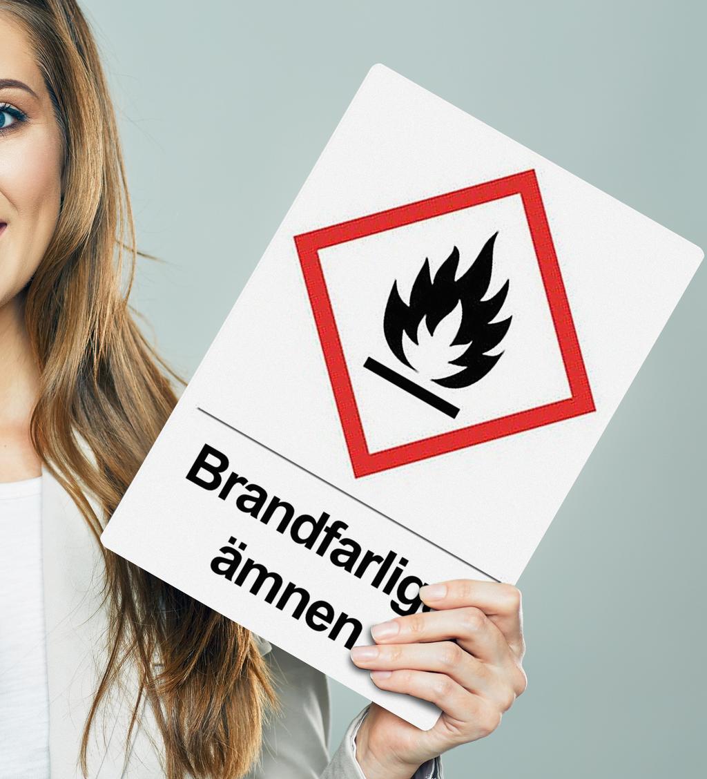 FÖR ESTÅN DARE B RAN D FA R L IG VA R A Enligt lagen om brandfarliga och explosiva varor skall den som har tillstånd för hantering eller förvaring av brandfarliga och explosiva varor ha en utsedd