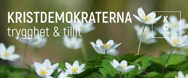 Den beräknade utvecklingen för skatteintäkter och nettokostnadsutvecklingen är ohållbar.