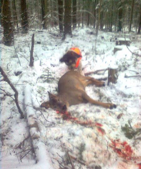 väl! Lördagen den 18/9 hade vi valpträff med Mixis första kull. Glädjande nog kom även pappa Jackpot och en halvsyster med. Här har gänget det kul i trädgår n.