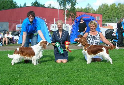 Att vår welsh Geltman's Gala Divine "Amy" verkligen älskar att spåra har hon bevisat med bravur! Hon tog sina tre 1:or i ÖKL på tre veckor och är därmed SVENSK VILTSPÅRSCHAMPION.