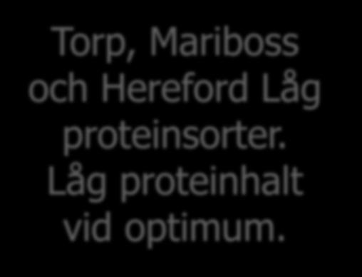 5 Torp, Mariboss och Hereford Låg proteinsorter. 0Låg proteinhalt vid optimum.
