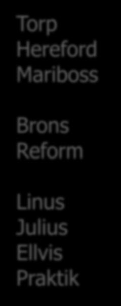 Brons Reform Linus Julius Ellvis Praktik 8000 120 180 240