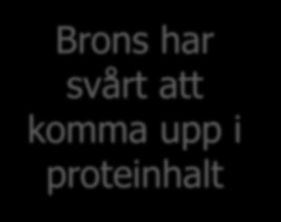 % av Ts Praktik Linus Ellvis Julius Reform Brons Hereford Torp