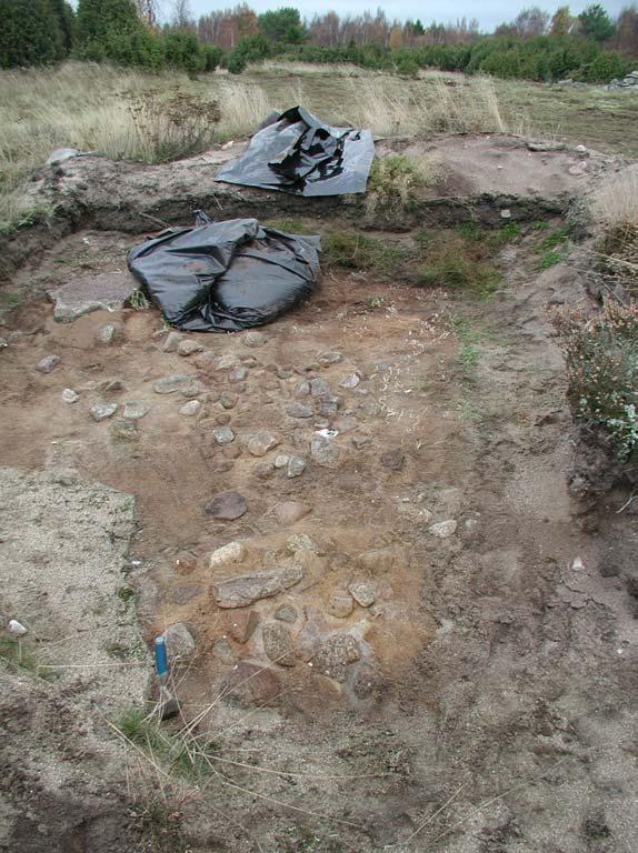 Vid slutet av oktober, strax innan andra fasen av det arkeologiska fältarbetet skulle genomföras, avverkades så delar av växtligheten på Lyckebacken planenligt.