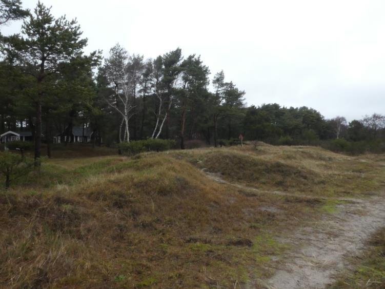 Bild över stranddynor öster om planområdet. Längs med kusten finns stora möjligheter att vandra längs Skåneleden, cykla och rida längs väg och strand. Fågelskådning är populärt i området.