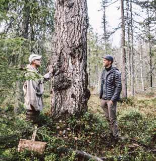 Fullsatt filmkväll gav mersmak Torsdag den 21 mars samlades 170 intresserade medlemmar, fältbiologer och icke medlemmar för att titta på dokumentären "När skogen tystnar" på mysiga biografen och