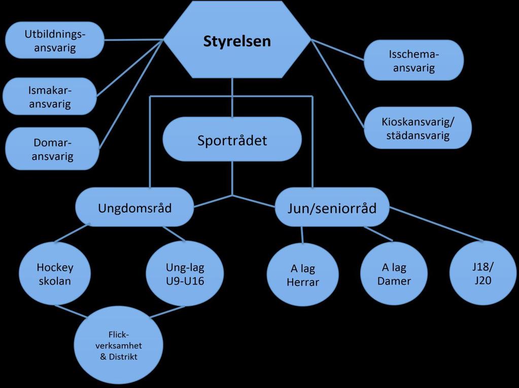 SK Iron Hockeys Organisation Vid årsmötet väljer klubben sin styrelse. Styrelsen ska bestå av ordförande, vice ordförande, sekreterare, kassör samt övriga ledamöter.