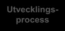 Självskattning Utvecklingsprocess