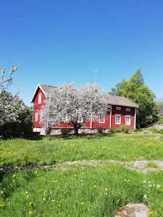 FÖGLÖBLADET 12 APRIL 2019 Matsmårs Biskopsvisitation i Ålands Södra Skärgårdsförsamling Under tiden 26-28 april har vi biskopsvisitation i församlingen. Den 26 april besöker biskopen Föglö.