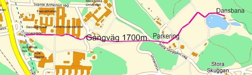 Varje torsdag från 28 maj till 27 augusti.