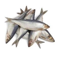 Tillagning och servering Att med en liten volym fisk skapa ett så stort värde som möjligt Exempel Strömmingsfilé, 89 kr/kg 1 kg