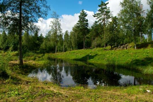 Gårdsmiljön kring Norra Hunna (sträcka G och inspelningsplats 18 och 19) hade flest antal arter, sex stycken, tätt följda av gårdsmiljöerna kring Vinna med fem noterade arter (sträcka H och