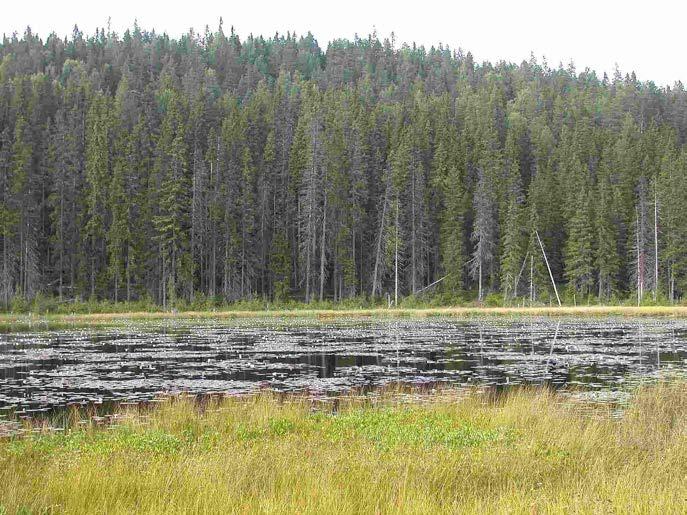 1 / 11 Beslut Datum 2014-12-08 511-7002-11 Dnr (anges vid skriftväxling) Enligt sändlista Beslut för bildande av naturreservatet Märatjärnberget Uppgifter om naturreservatet Naturreservatets namn: