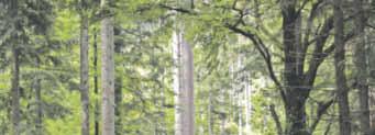 Und ein Garant für allerbeste Unterhaltung. Der energiegeladene Künstler absolviert jährlich ca. 100 Auftritte und versteht es ausgezeichnet, jedes Publikum in seinen Bann zu ziehen.