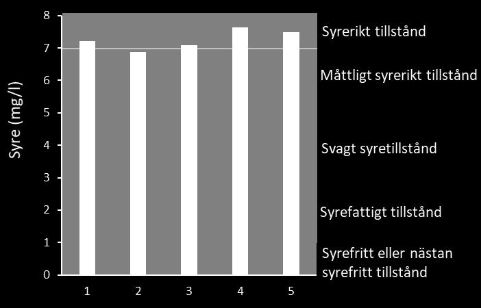 Generellt dominerade fjädermyggor och fåborstmaskar följt av husbyggande nattsländelarver, musslor och snäckor (bilaga 1).
