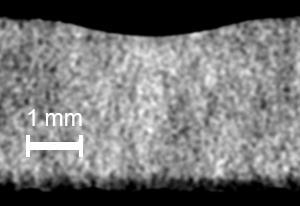 Visualizing the results and changes in unprocessed grayscale images can be difficult.